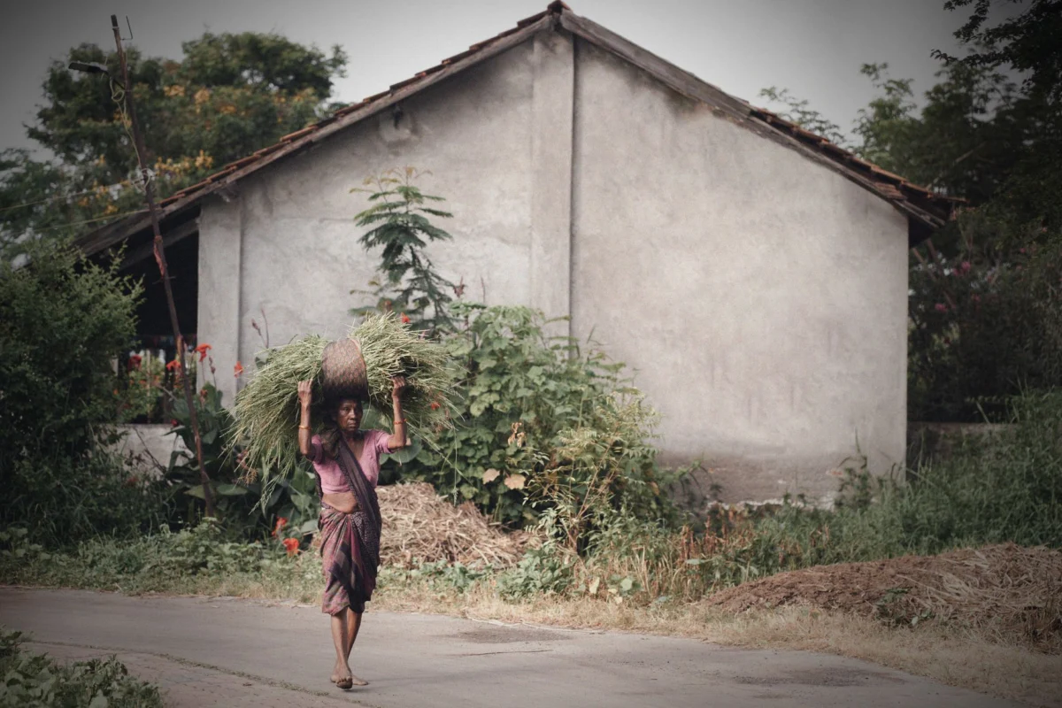 Gujarat’s Rural Development Surge Transforms Jobs and Sanitation