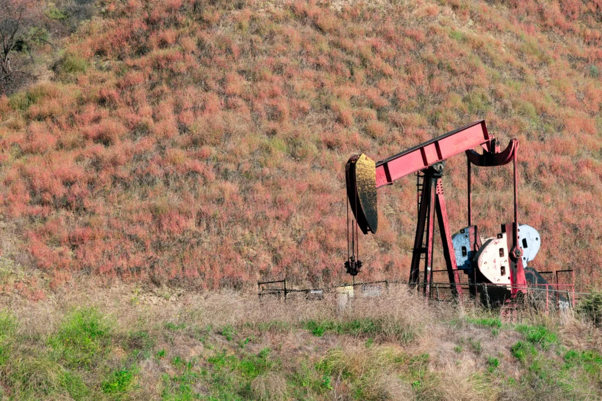 Morgan Stanley Cuts Oil Forecasts Amid Hormuz Flow Recovery