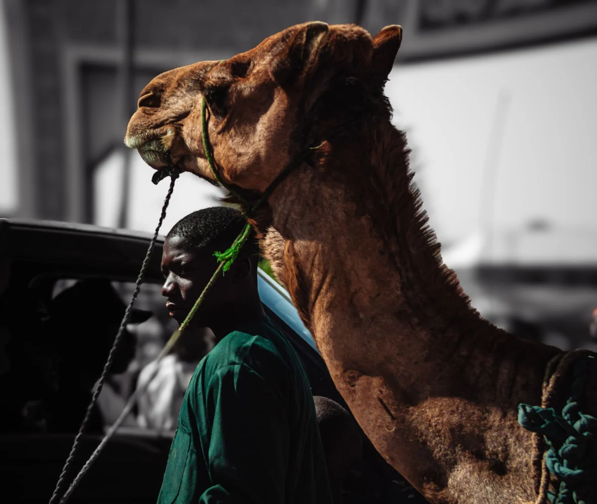 Nigeria Poised to Take Africa’s Digital and Creative Lead