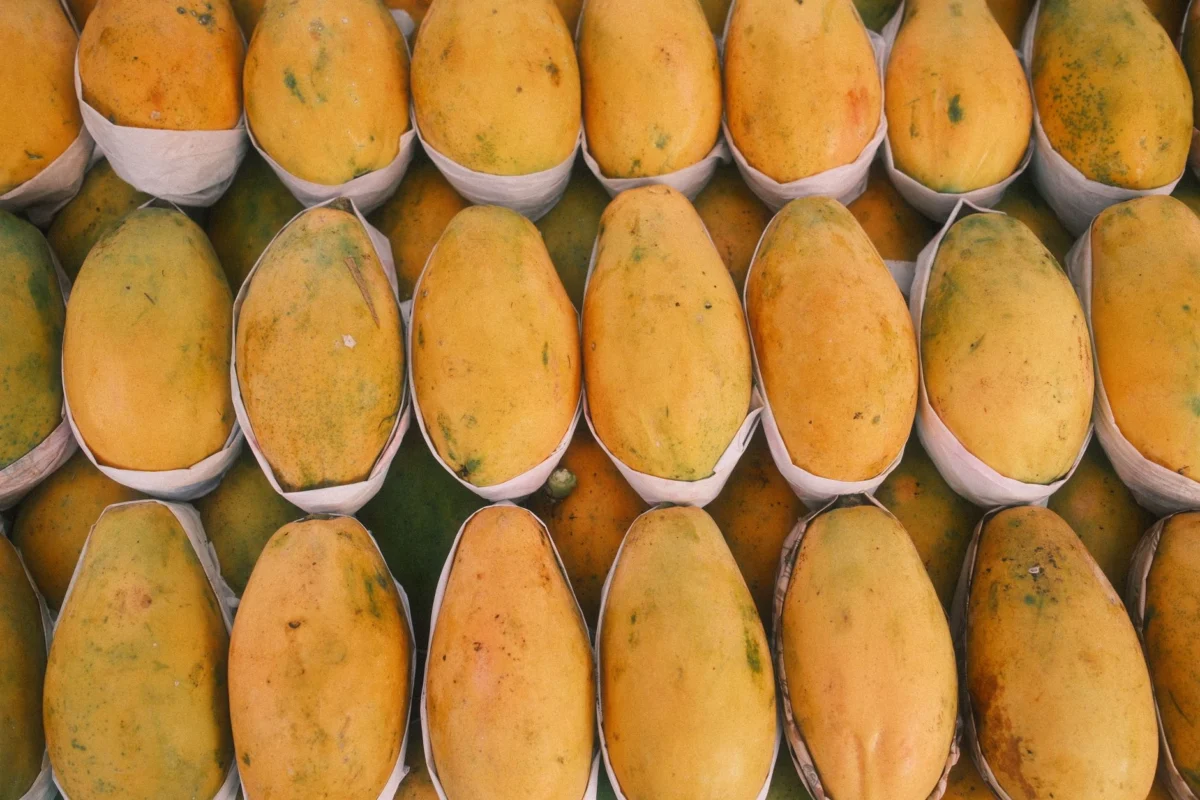 Mango Shipments Plummet as Middle East Conflict Drags On