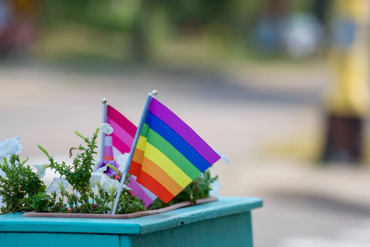 Rainbow Flags Wave Over Qatar as FIFA Clears Egypt‑Iran Match