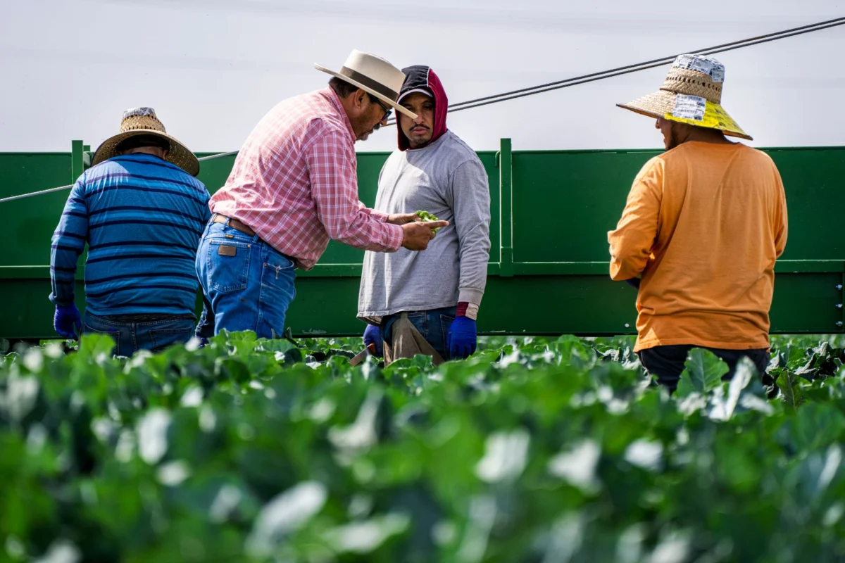 Hidden Unemployment Fuels Worker Shortages Across Key Sectors