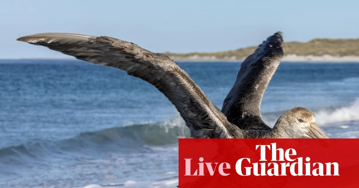 Melbourne teen charged with murder as Coalition backs artists on AI