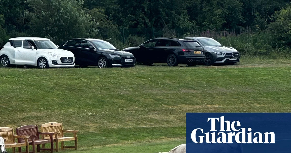 Runaway Bull Forces Cricket Match to Be Abandoned