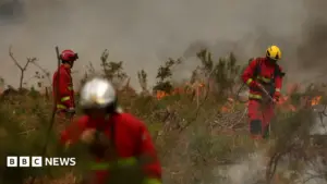 Wildfire evacuation: firefighters battle blaze near Bordeaux