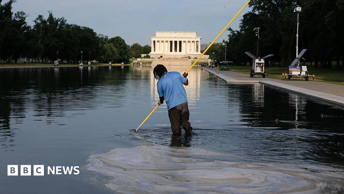 Former Olympian Indicted Over Reflecting Pool Vandalism
