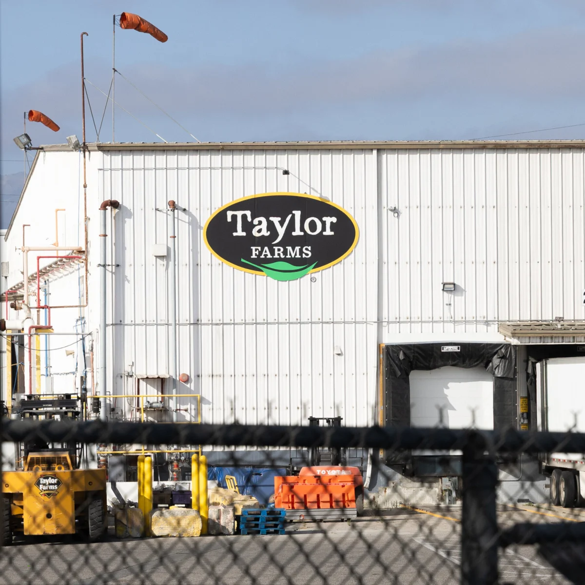 Taylor Farms Iceberg Lettuce Recall Expands to 27 States