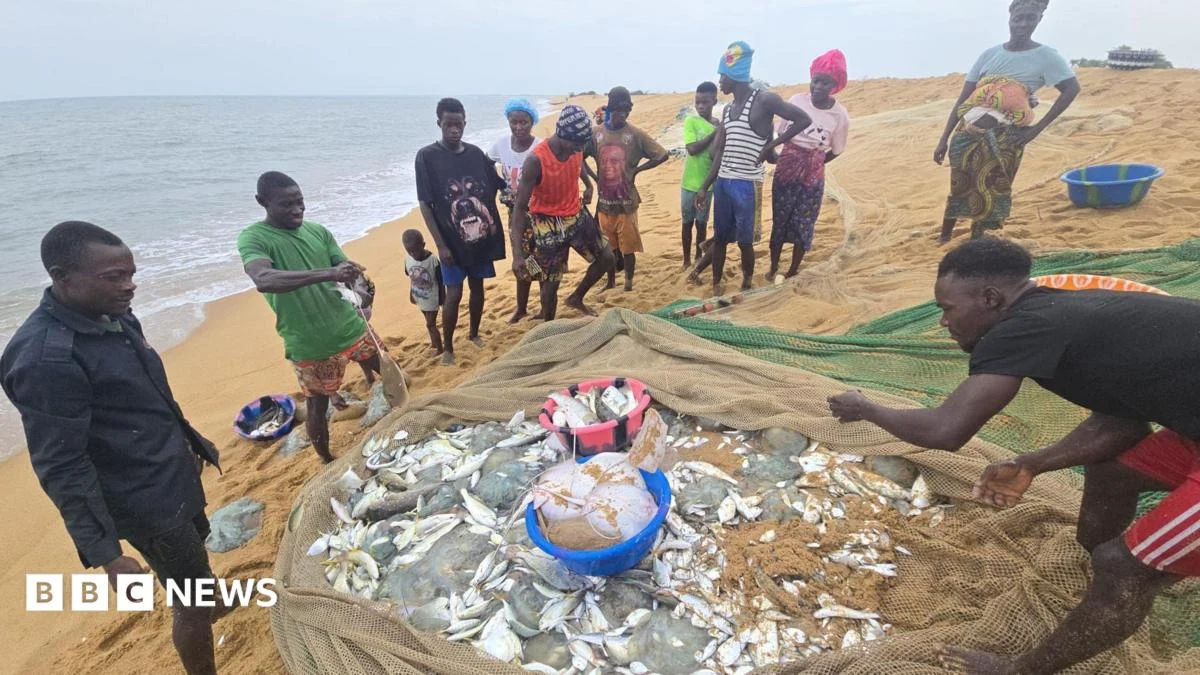 Sierra Leone Fishermen Blame Chinese Trawlers for Declining Fish Stocks