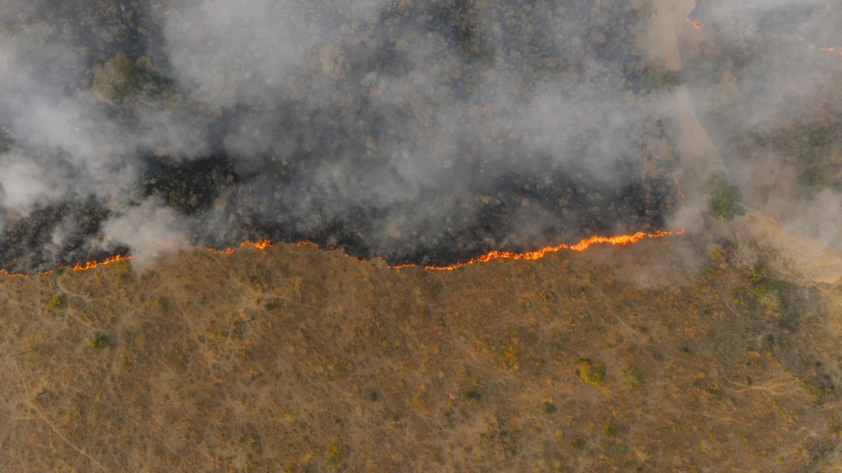 France Wildfire Forces Thousands to Flee