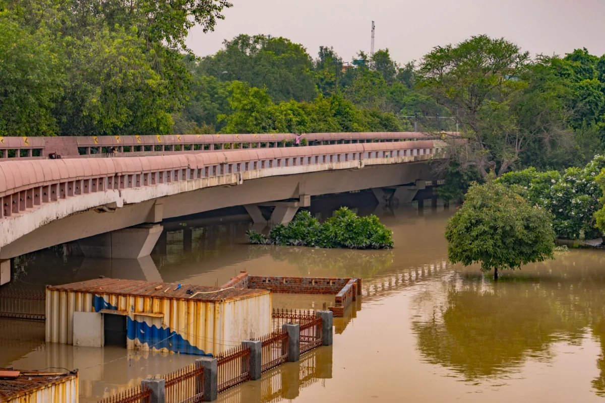 AP News Reports on Recent Natural Disasters