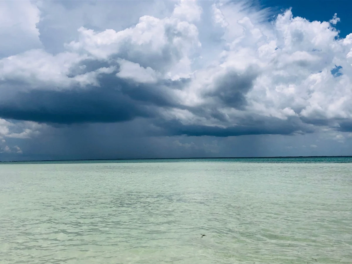 Tropical Storm Bertha Moves Toward Florida Panhandle and Alabama