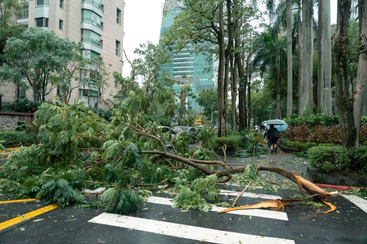 Typhoon Bavi Hits Eastern China, Brings Prolonged Heavy Rain