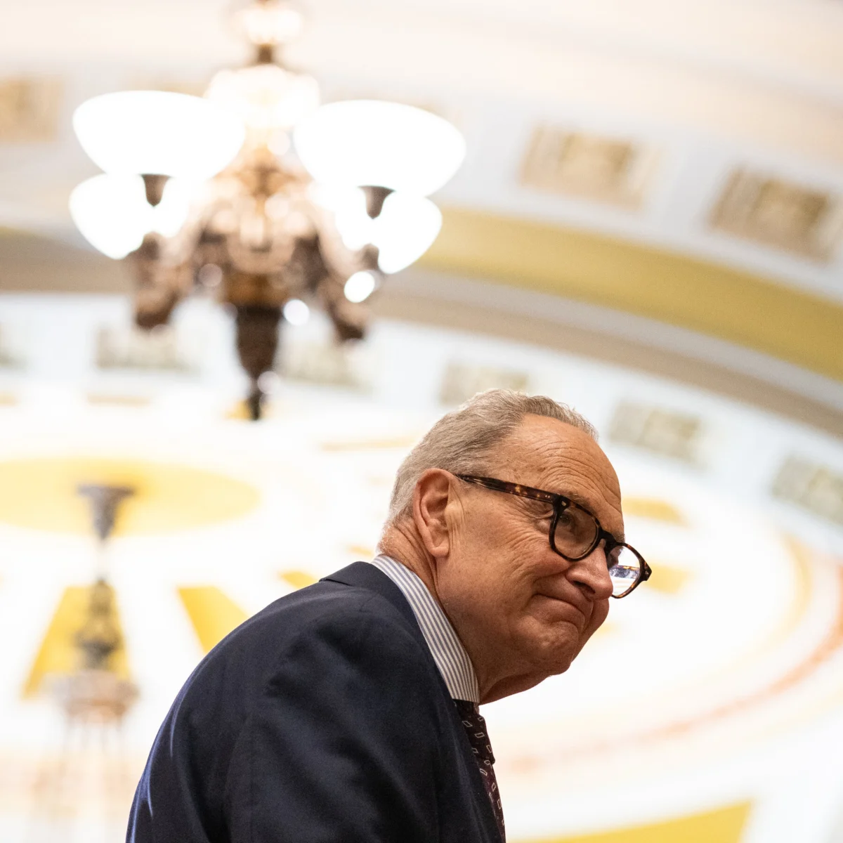 Schumer Reaches Out to Left Ahead of Michigan Senate Race