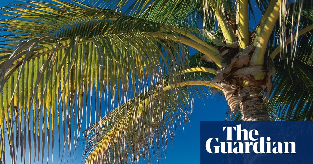 Offshore Tax Havens Undermine UK Transparency Efforts