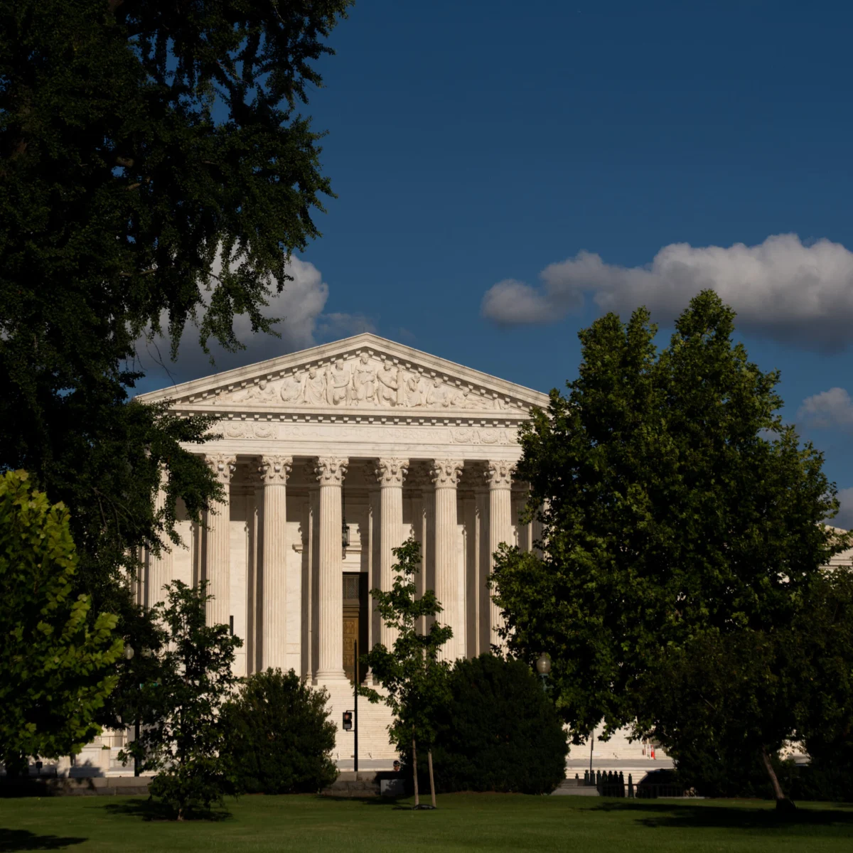 Supreme Court Receives Emergency Appeal From Dog Named Bruce