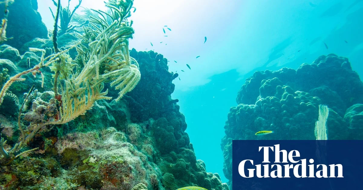 Florida launches coastal corridor to protect marine life
