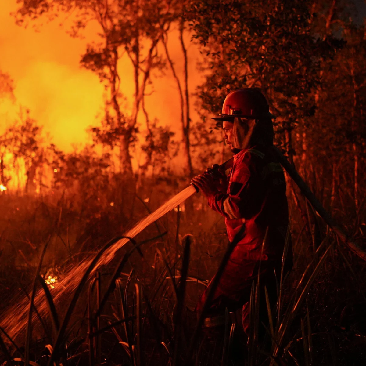 El Niño Drives Drier Conditions and Wildfire Risk in Indonesia