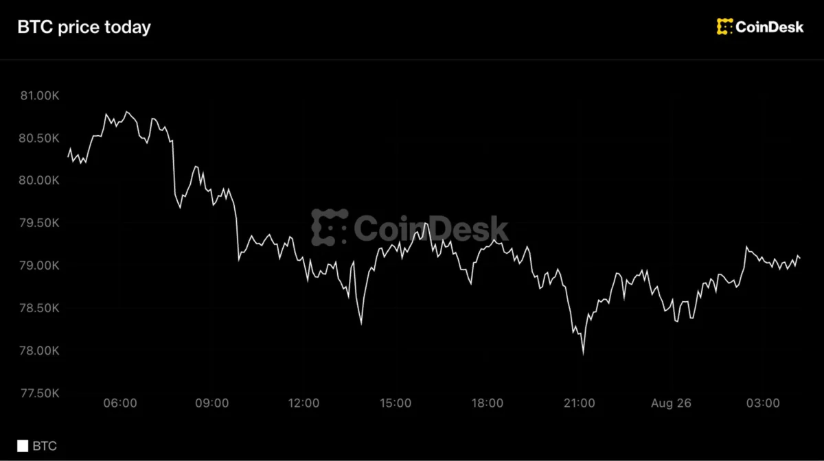 Bitcoin holds at $79,000 while other major tokens slip