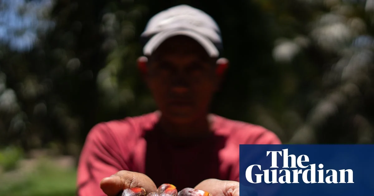 Honduran Farmers Labeled Terrorists as State Violence Grows