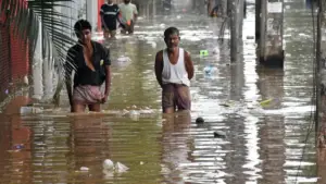 Death toll reaches 87 in Assam floods