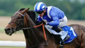 Ex-champion jockey Crowley retires after fall