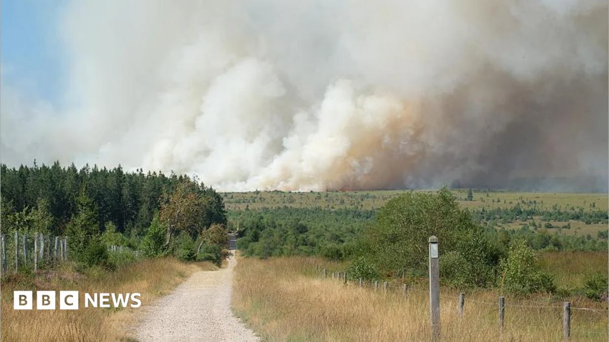 Wildfire rages through Belgian nature reserve