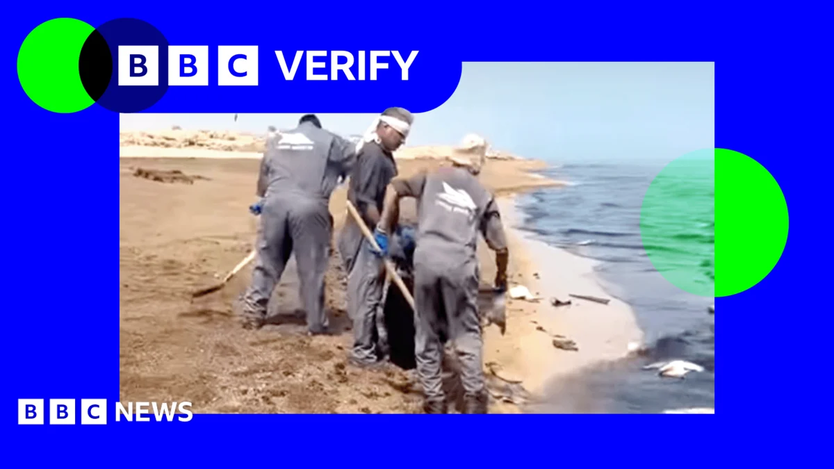 Major oil spill from attacked ship threatens Iran’s wildlife