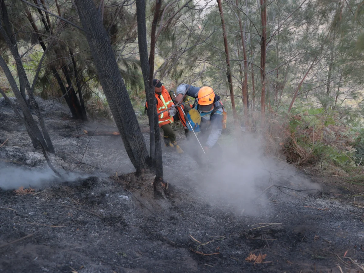 Indonesia boosts troops to fight Borneo wildfires
