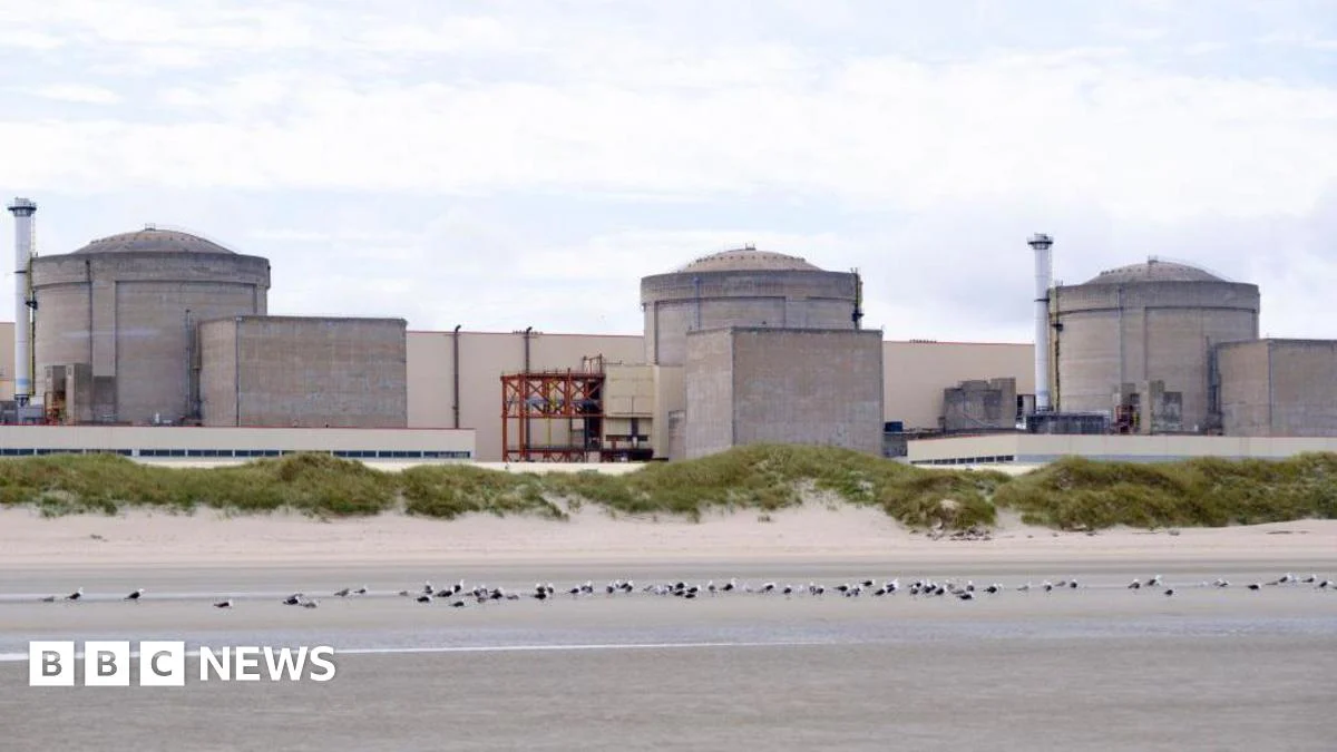 Jellyfish Force Partial Shutdown of French Nuclear Plant