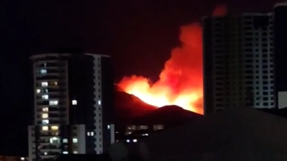 Forest fire threatens homes near Ankara’s Mamak district