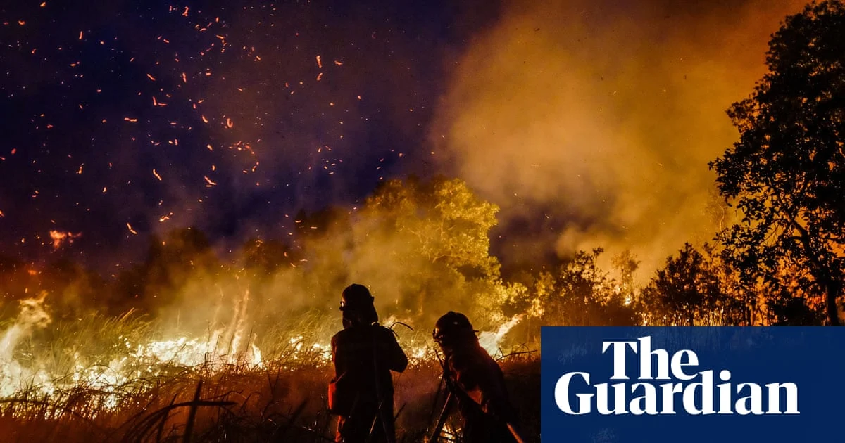 Indonesia Faces Intense Haze as Fires Ravage Kalimantan