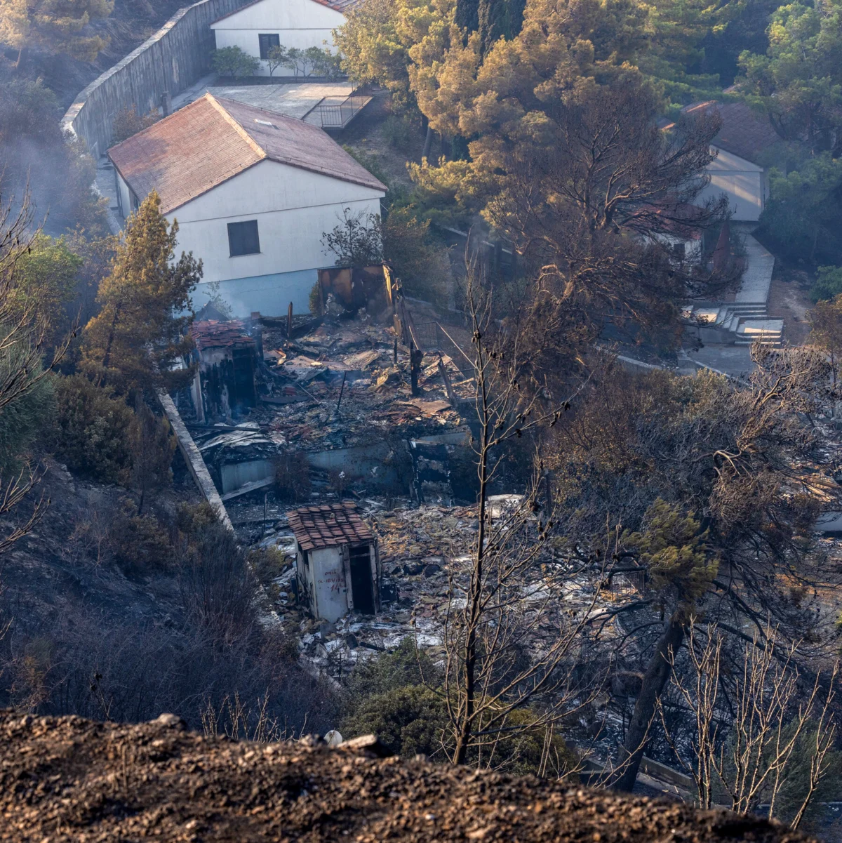 Extreme Heat and Wildfires Continue Across Europe