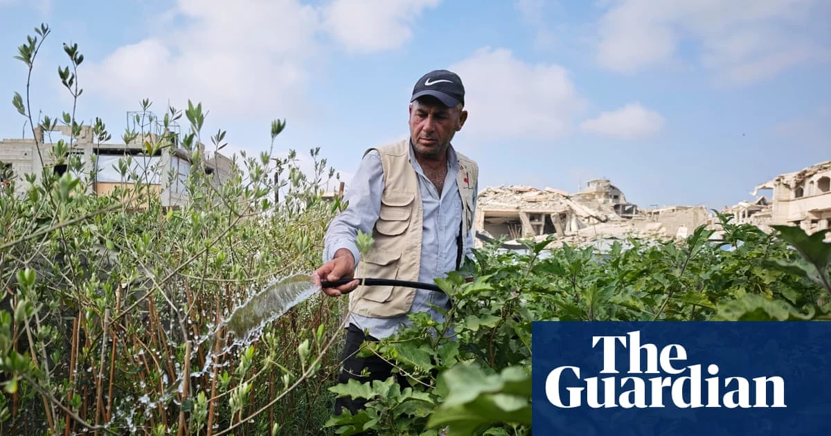 Gaza farmers struggle to survive on shrinking land