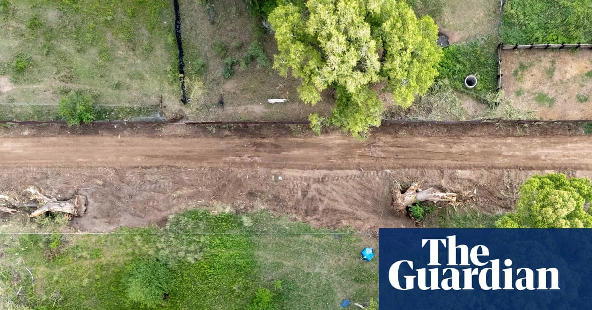 Protesters occupy ancient tree at US-Mexico border to halt destruction