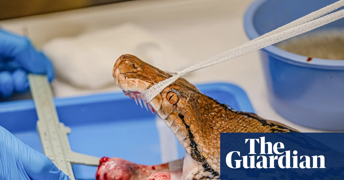 Python named Jodie Foster receives pioneering cancer treatment