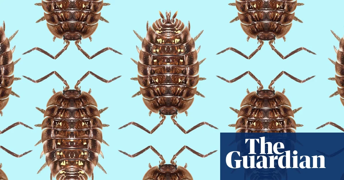 Common woodlouse leads top 10 invertebrates of the year