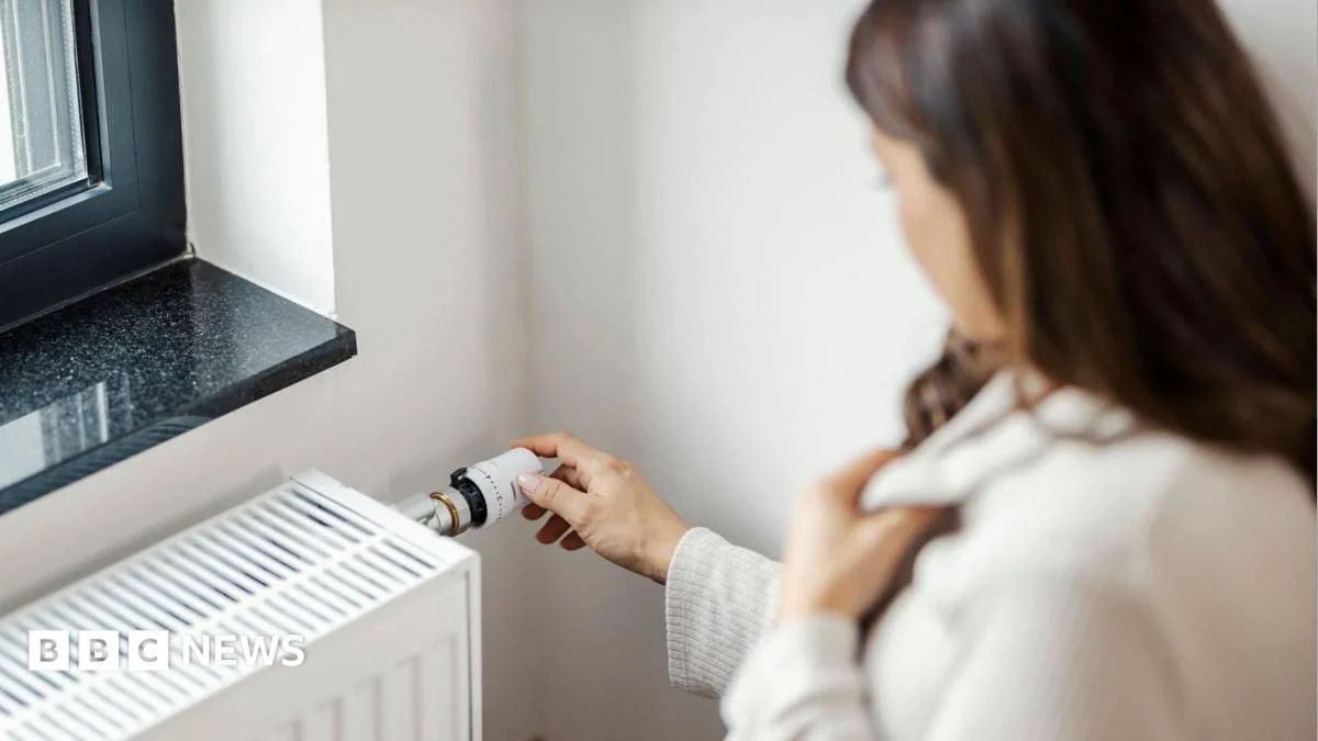 Energy industry calls for more support for struggling households