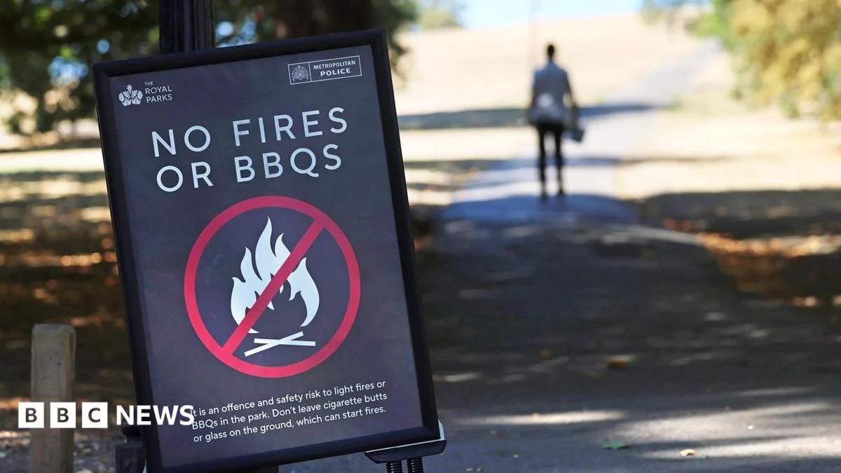 UK bans disposable BBQs over wildfire risk