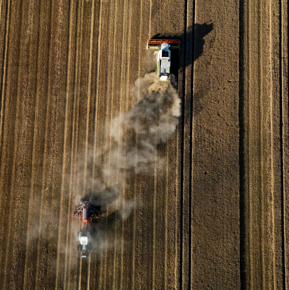 Global Bread Prices Surge Amid War and Climate Shocks
