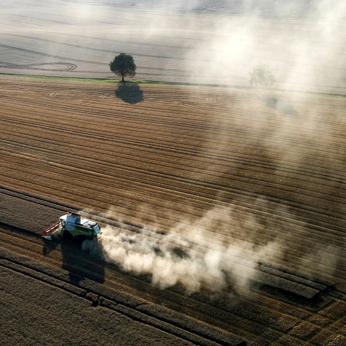 War, Weather, and Trade Disrupt Global Food Supplies