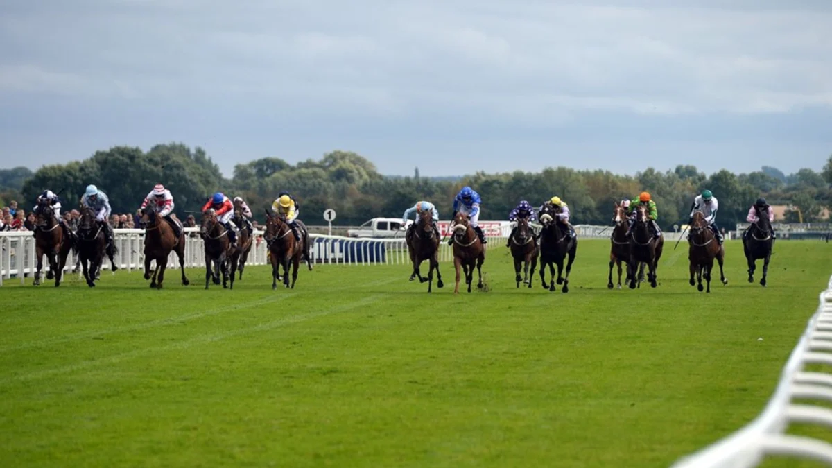 Ripon’s Two-Year-Old Trophy Live on Sky Sports Racing