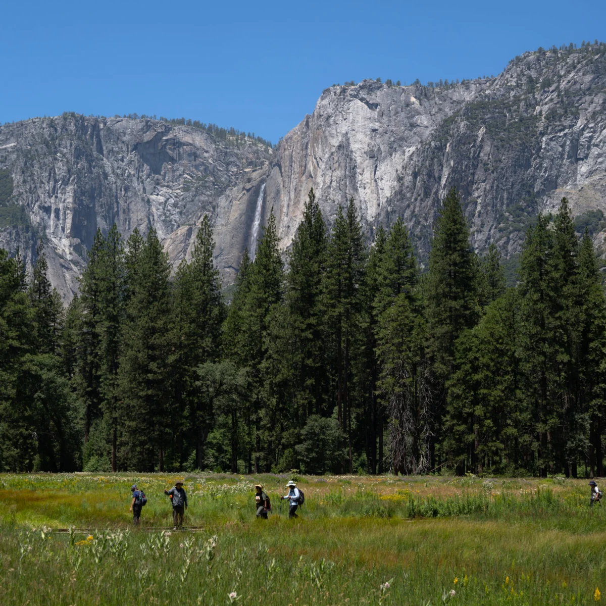 Trump Administration Proposes Yosemite Land Swap with Developer