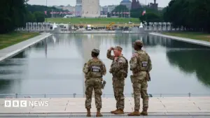Trump Administration Drops Reflecting Pool Vandalism Charge