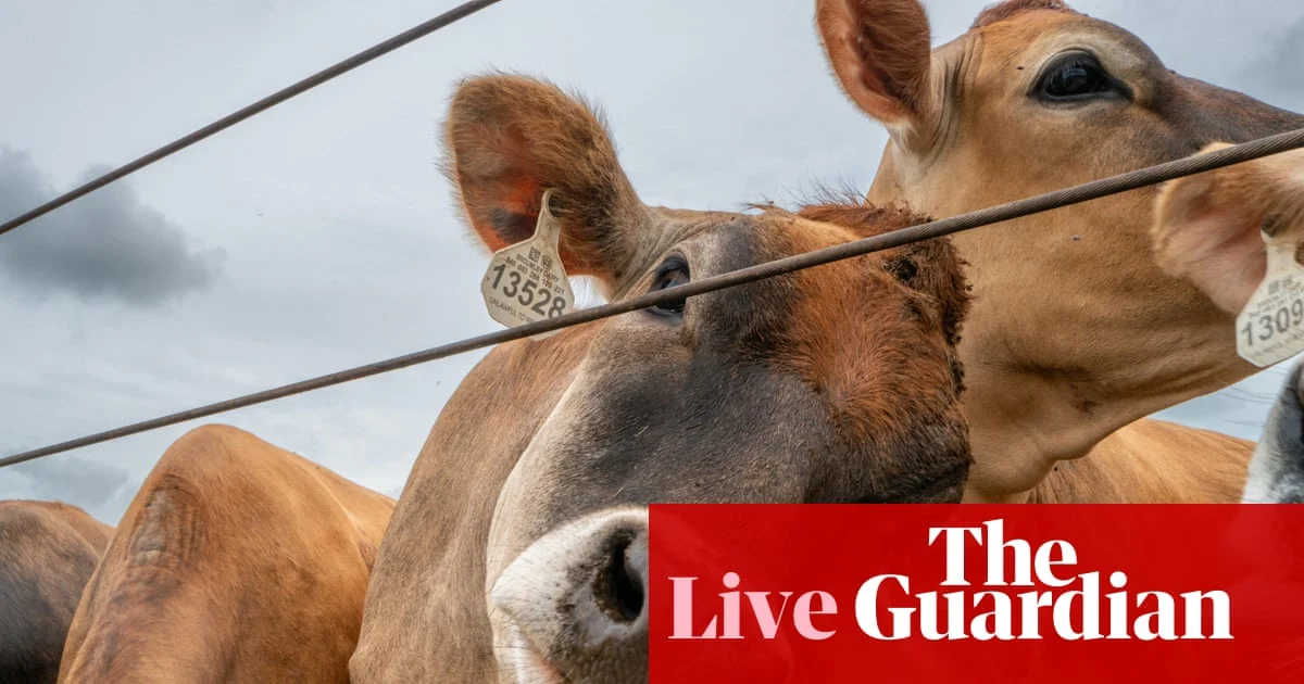 Trump’s agriculture secretary to ease beef processing rules