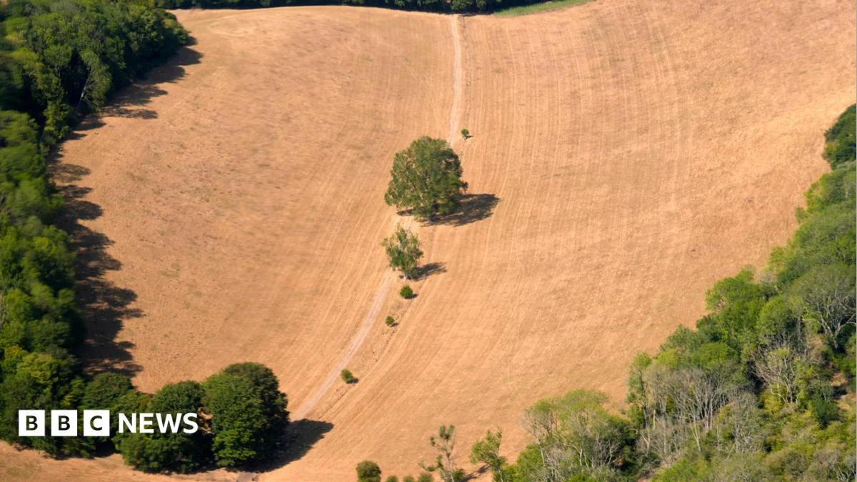 UK records hottest day of 2024 with 38.1C in Kew Gardens