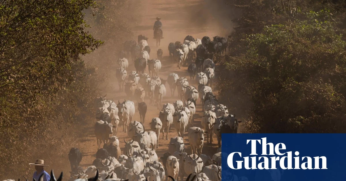 UK farming groups urge ban on Brazilian meat imports