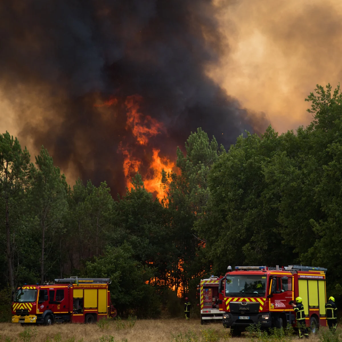 Europe Struggles Amid War, Wildfires, and Migration