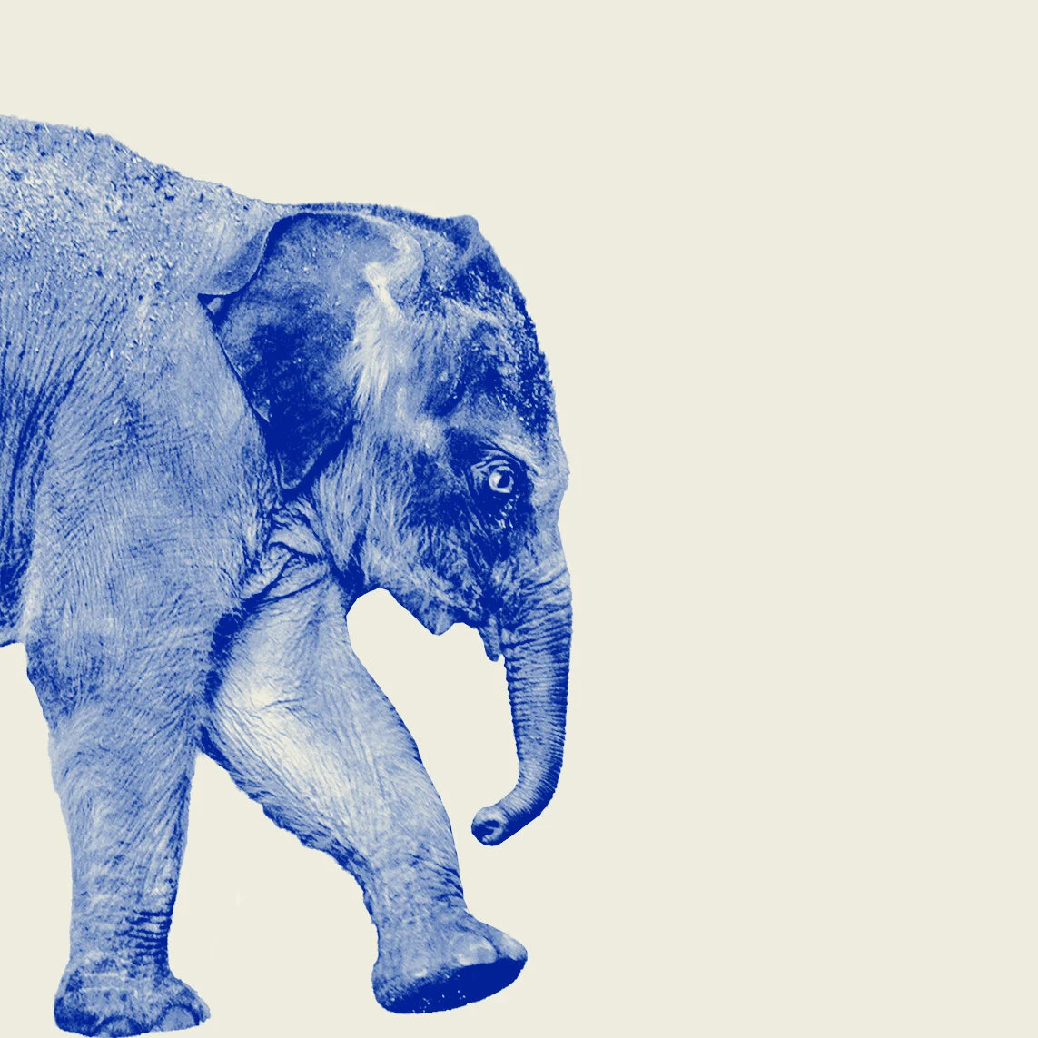 America’s Political Parties Face Post-Trump Challenges