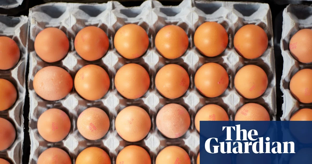 UK salmonella outbreak linked to imported eggs