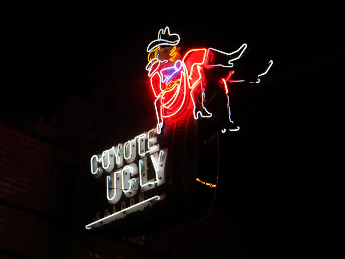 ‘Coyote Vs. Acme’ stars celebrate world premiere in Los Angeles